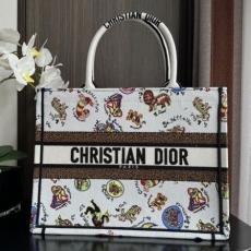 Christian Dior Shopping Bags